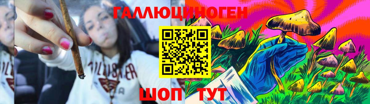 Кохма  Галлюциногенные грибы мухоморы  наркошоп  Вход с VPN 